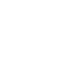GESTOCAR B